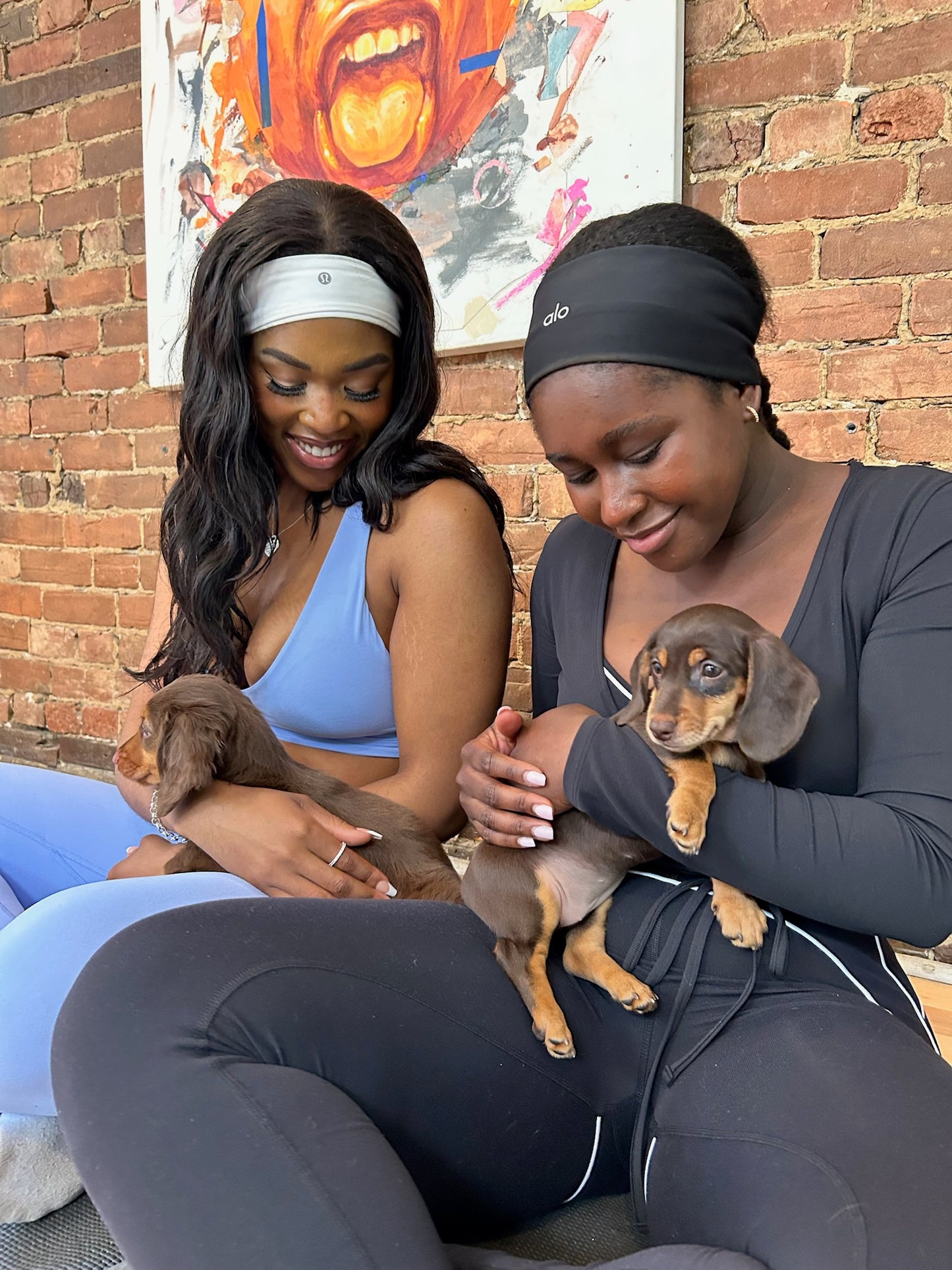 Pups&Yoga - Philadelphia