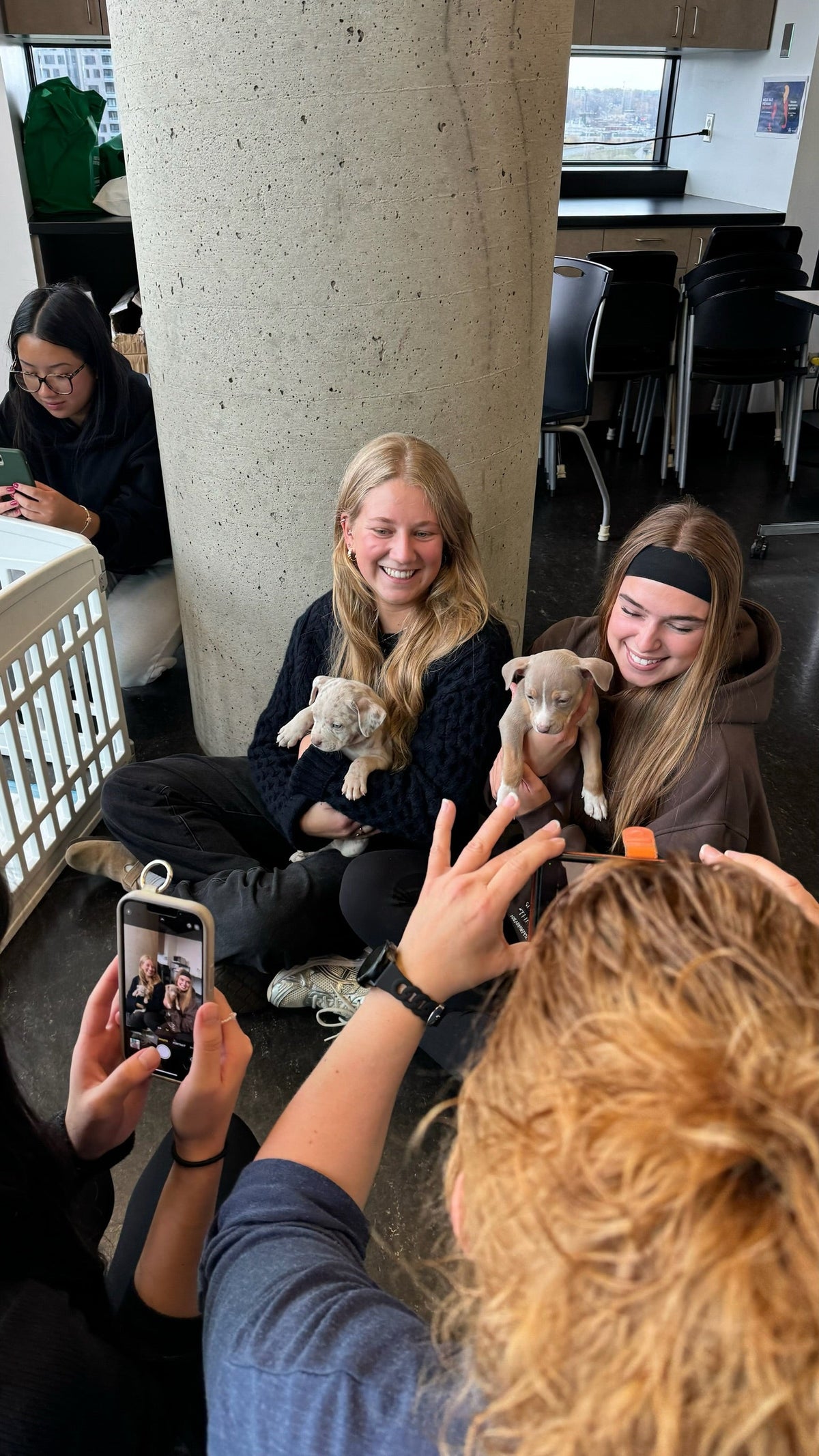 Private puppy yoga event