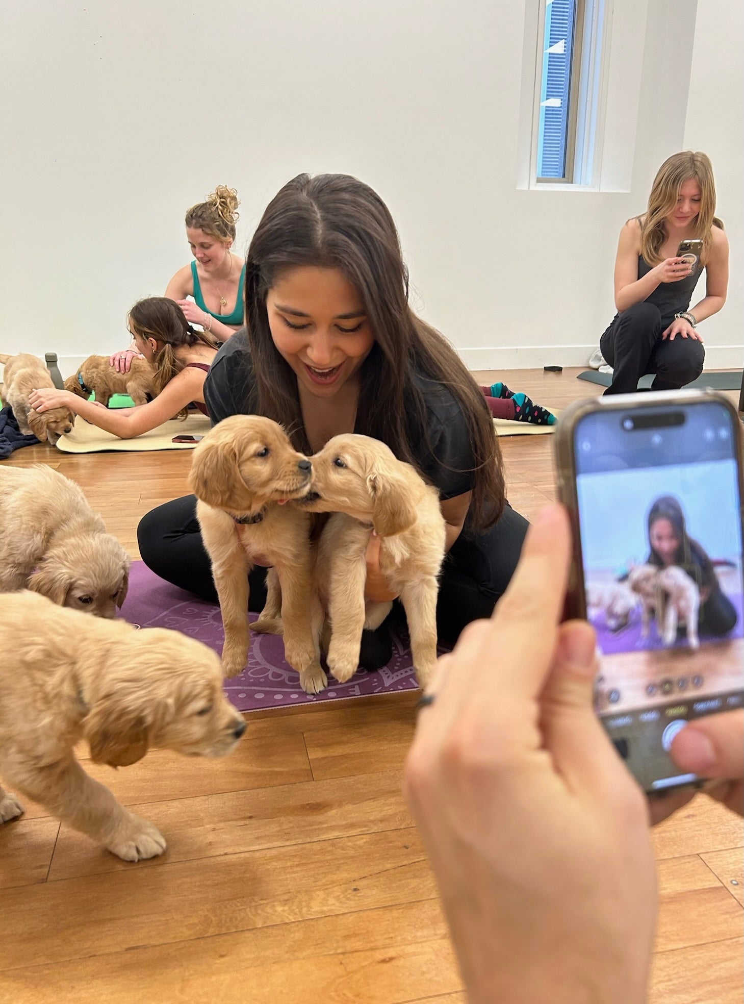 Top Benefits of Joining a Puppy Yoga Studio Near You