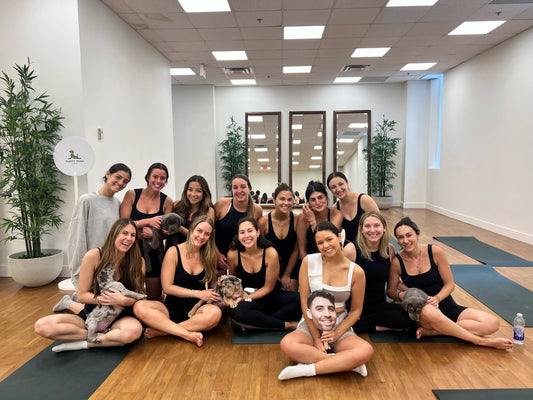 Exploring Best Yoga In Boston, MA: A Comprehensive Guide