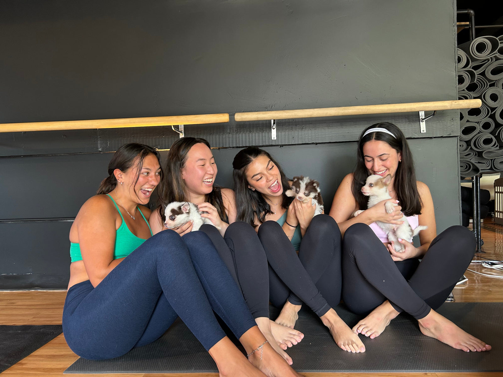 Puppy Yoga in Boston