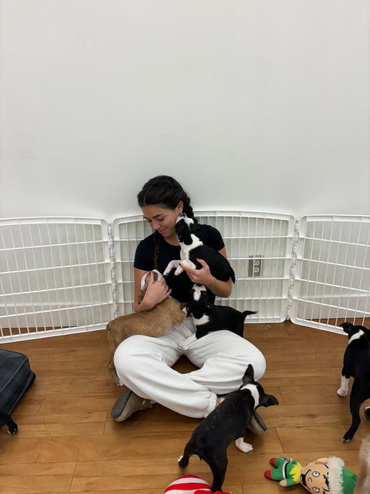 Puppy Yoga is the Ultimate Stress Reliever