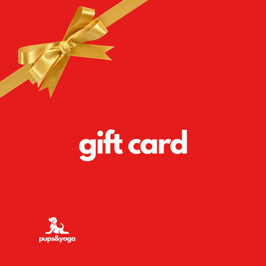 Gift Card Boston - 25% OFF