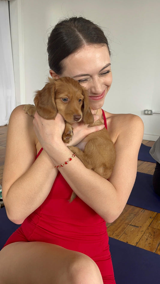 Pups&Yoga - Calgary