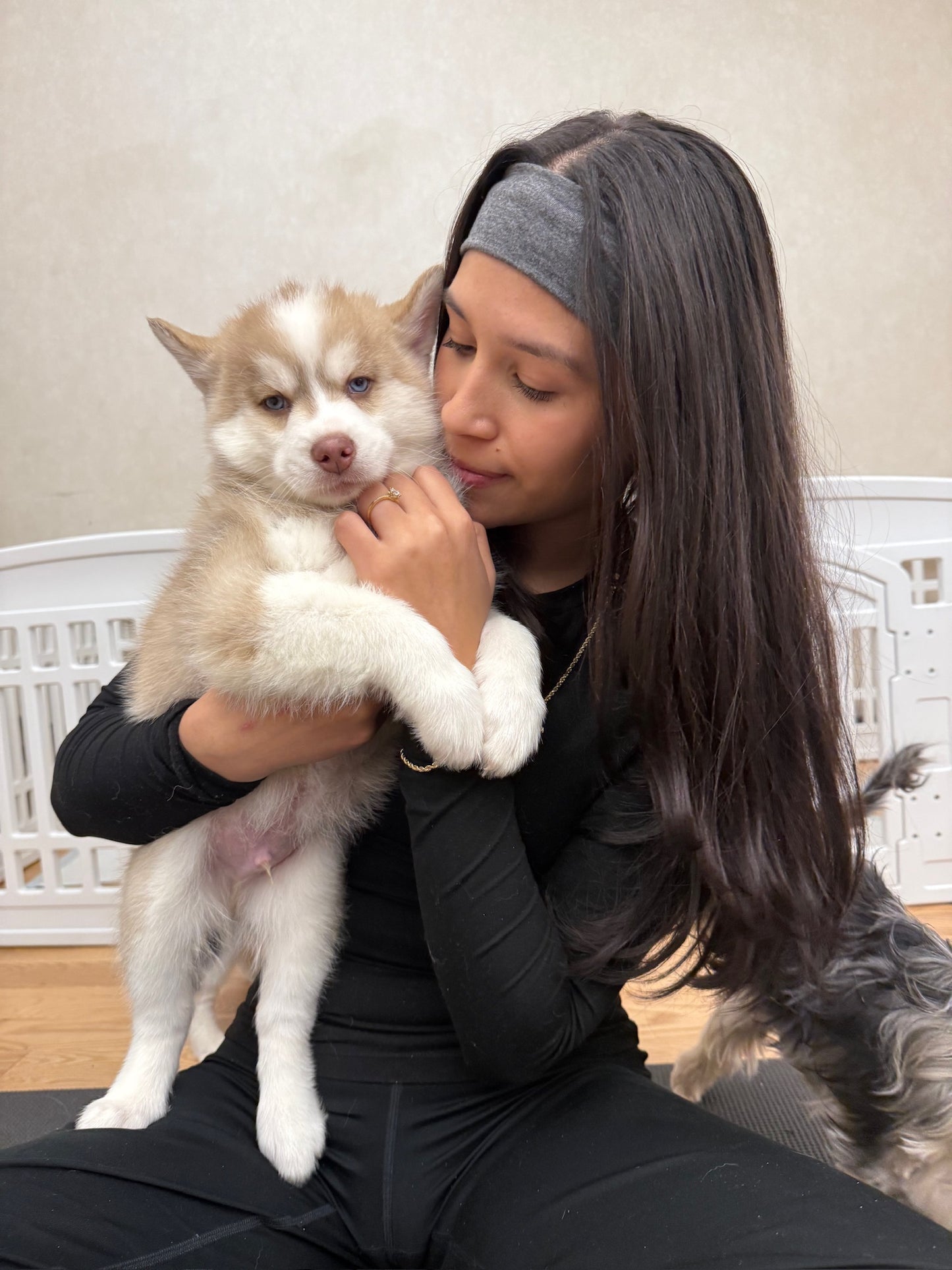 Pups&Yoga - Edmonton