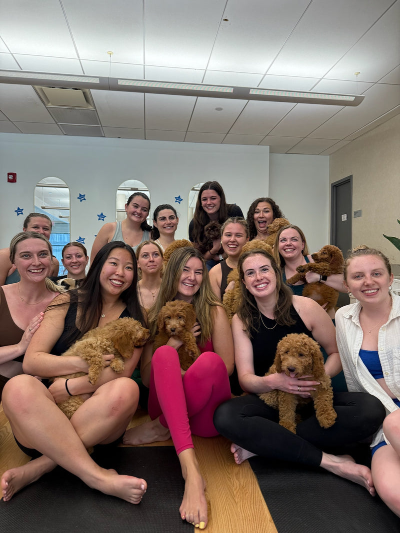 Puppy Yoga | Boston