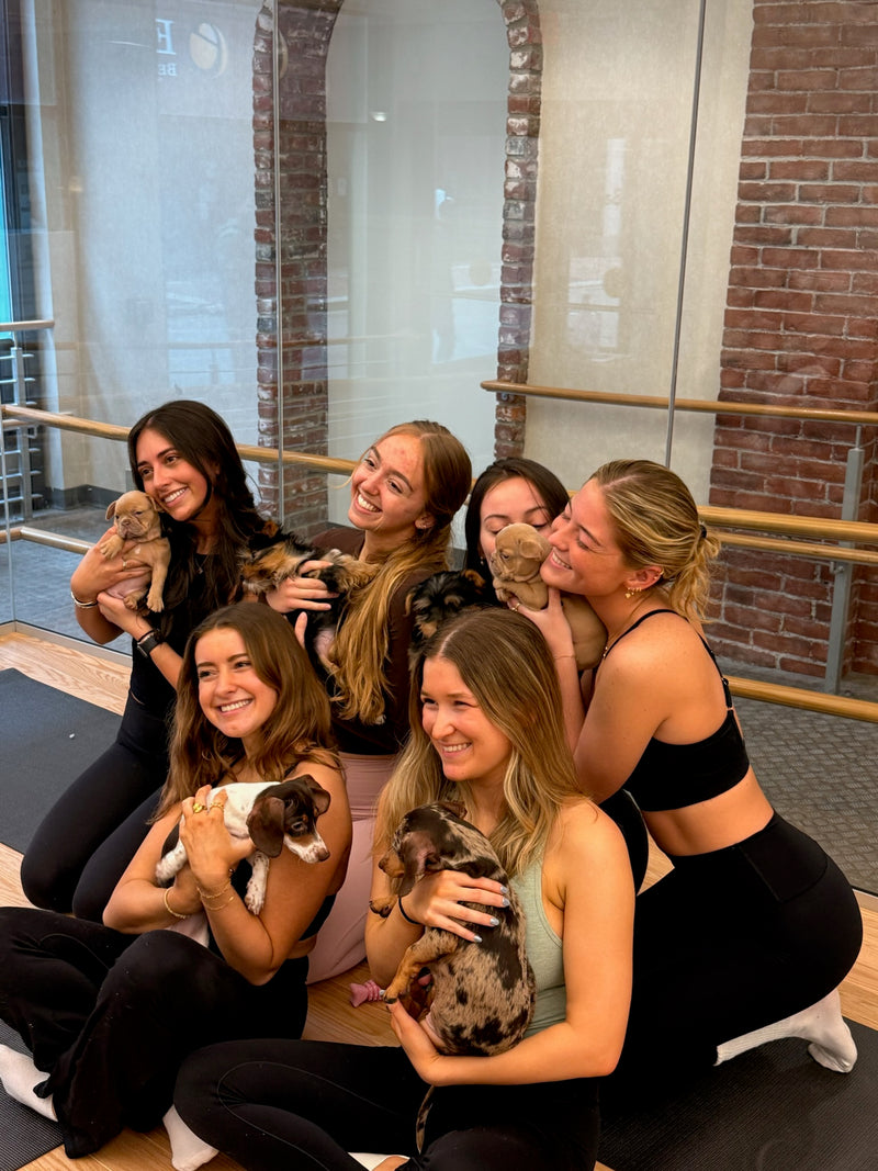 Puppy Yoga | Boston