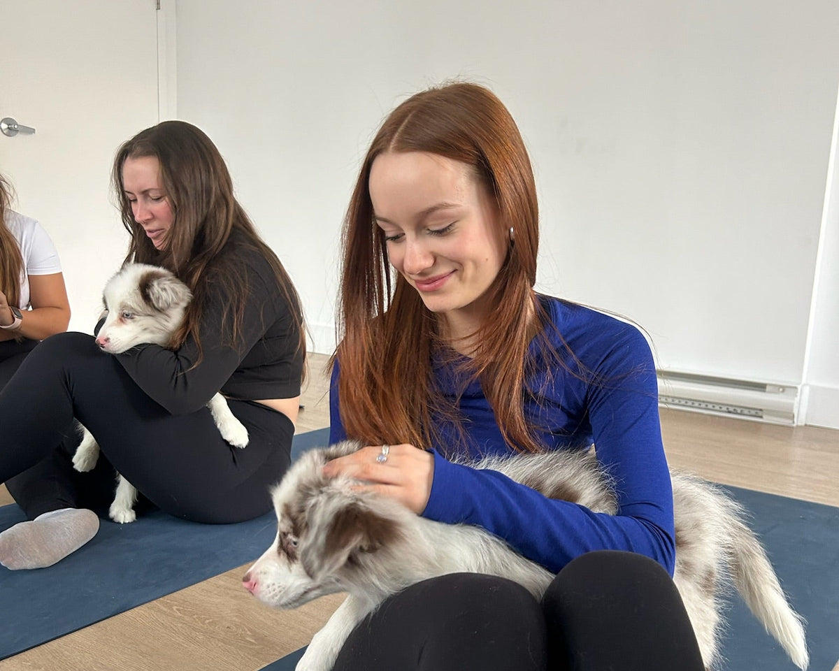 Puppy yoga in Miami