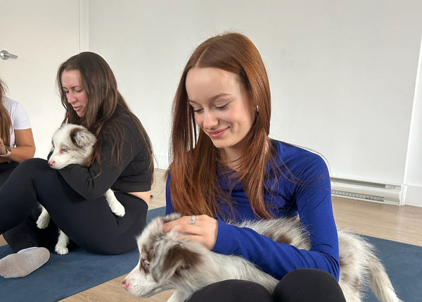 Pups&Yoga - Quebec