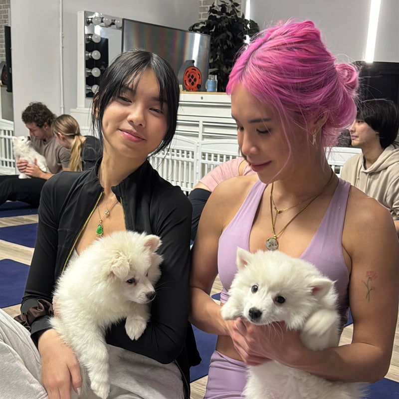 Pups&Yoga - Edmonton