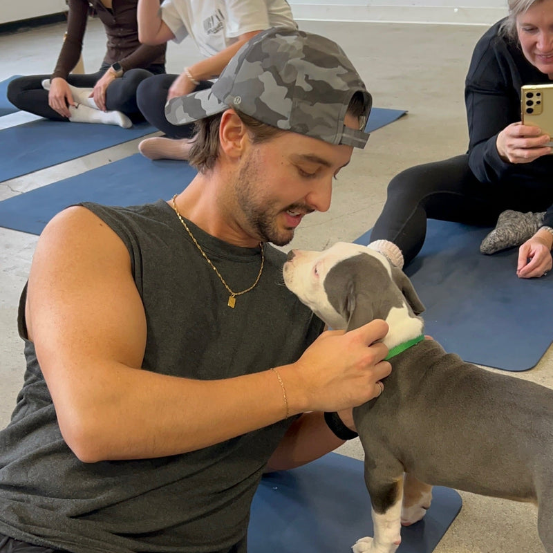 Pups&Yoga - Calgary