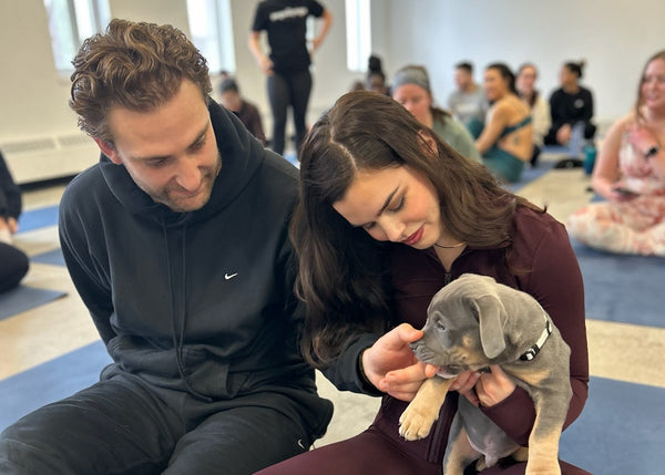 Pups&Yoga - Calgary