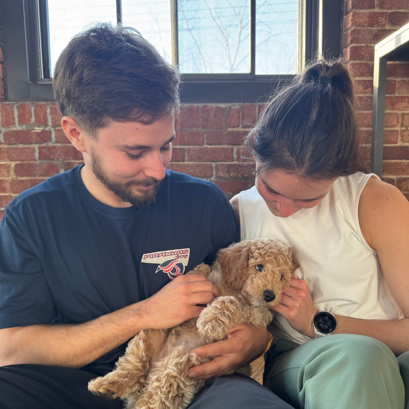 Pups&Yoga - Montreal