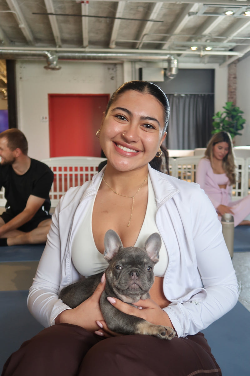 Puppy Yoga | Miami