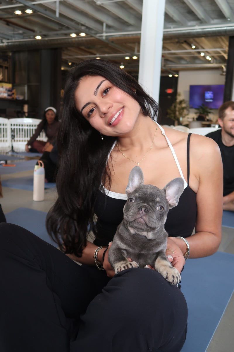 Puppy Yoga | Miami